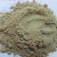 Sludge-biogas-residue.jpg